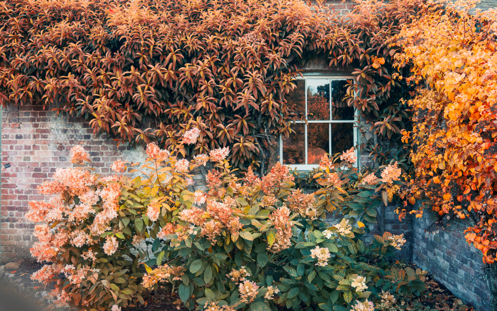 maison automne