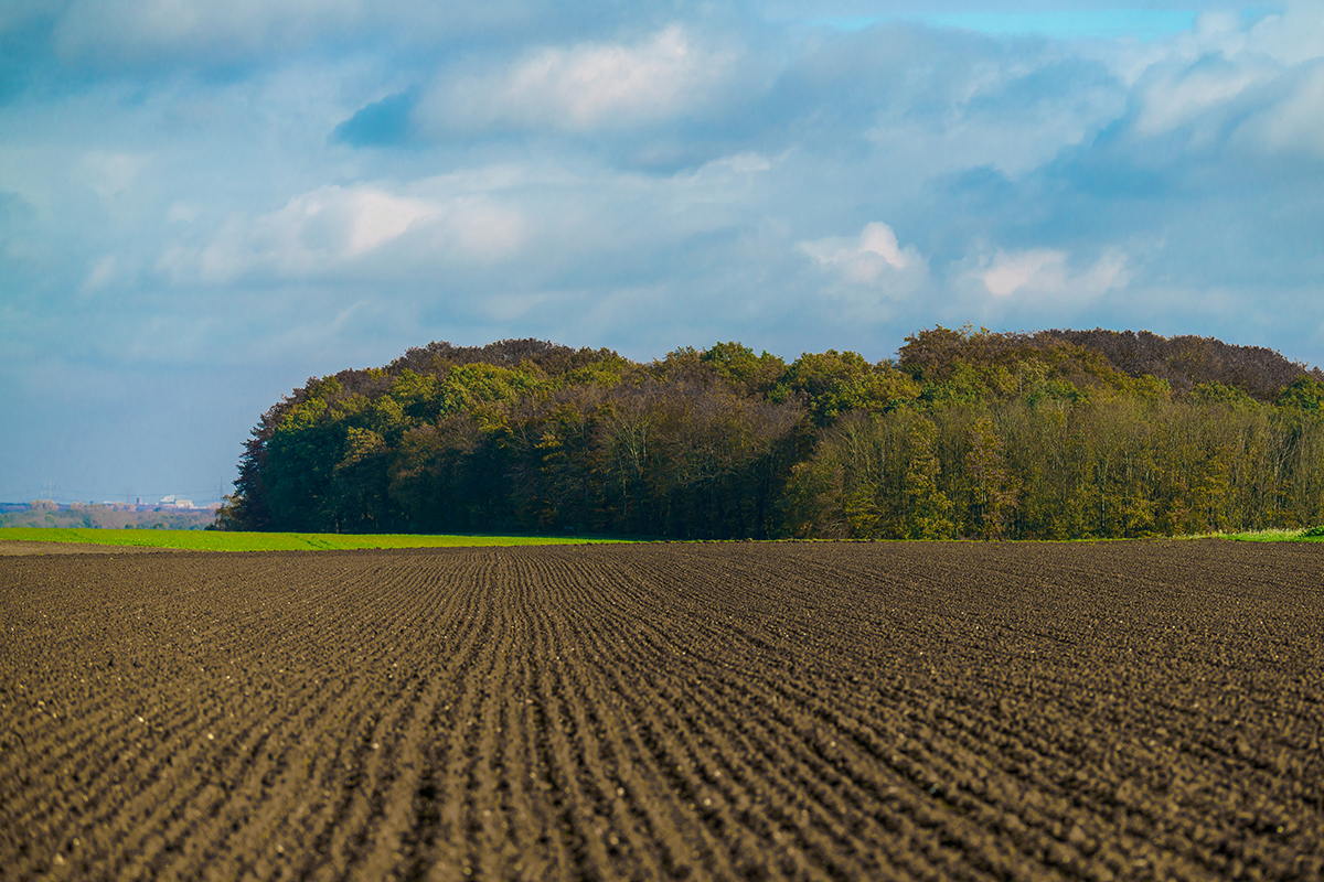 terrain agricole