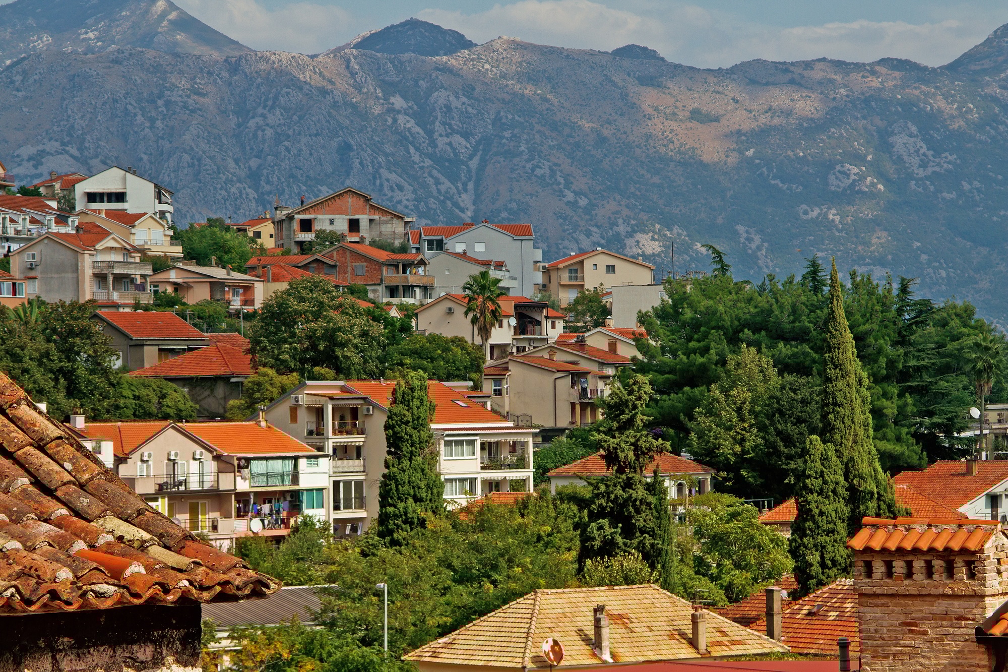 Montenegro expatrition 